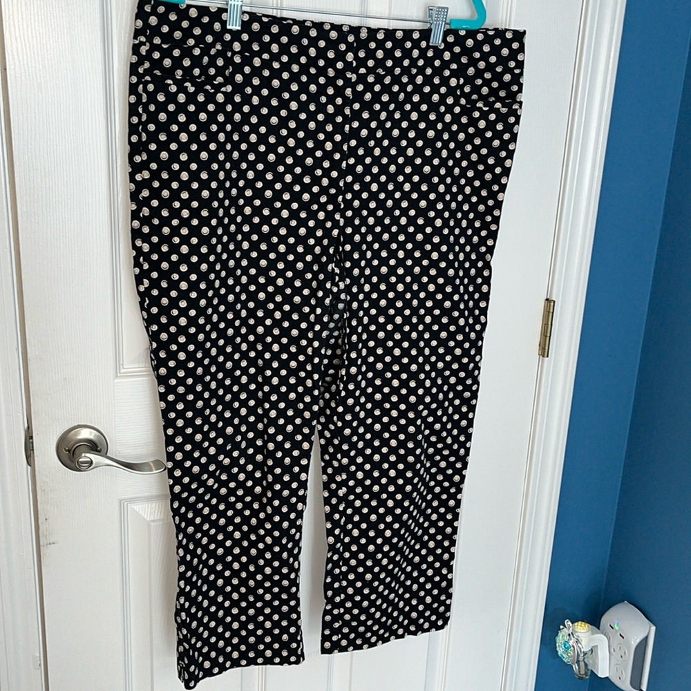 Ann Taylor pants size 16
